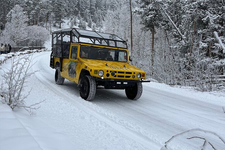 Winter Wonderland Adventure Tour | Sledding (Wildside 4x4 Tours) - Photo 1 of 8